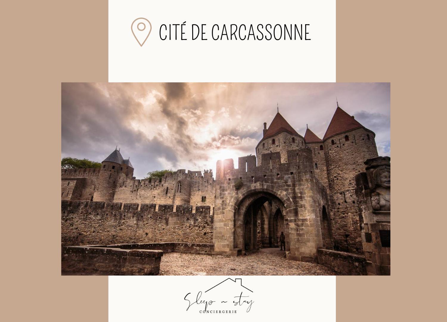Apartment La Terasse Carcassonne Esterno foto